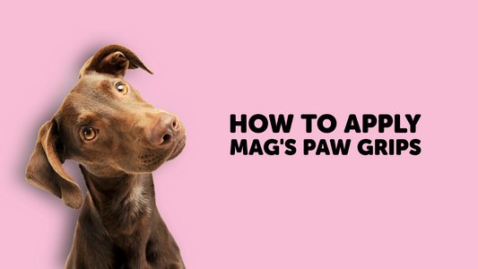 How To Apply Mag's Paw Grips